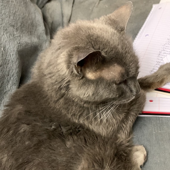 Meet your Posher, Red - Picture 2 of 2